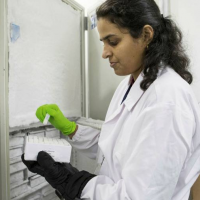 Covid spurs expansion of public healthcare