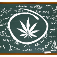 CUNY Launches Cannabis Education Program At Brooklyn’s Medgar Evers College