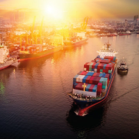 Brexit- VAT And Customs Duties- Meeting Your Compliance Obligations