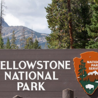 This summer, skip woke Disney and head to our national parks