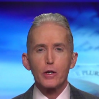 Gowdy tells protesters: You’re free to peacefully protest the law, but you’re not free to disregard it