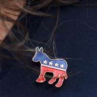 Republican Party (United States) Img