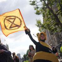 Beyond XR: How can the environment movement appeal to more conservative people?