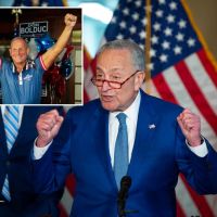 Dems cynically help MAGA Republicans win again  —  despite their…