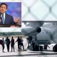 Dems are upset that DeSantis has made them look in the mirror on…