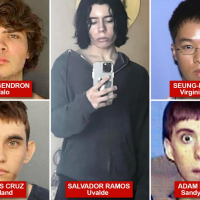 Our greatest public-health crisis? The angry young American male