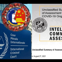 “SARS-2 IS A BIO-WEAPON”. Complaint to the Hague Court. US Intelligence “split” between Natural or Laboratory Virus – Veterans Today | Military Foreign Affairs Policy Journal for Clandestine Services