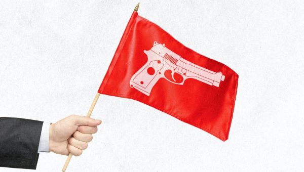 Bipartisan Red Flags in the Senate