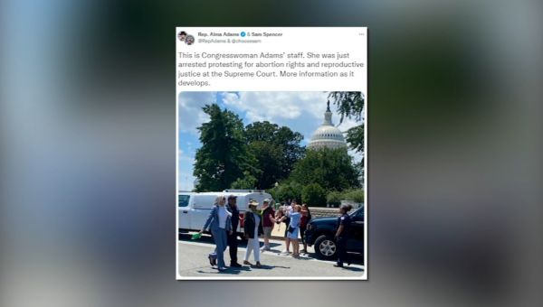 ‘We won’t go back’: Rep. Alma Adams one of several lawmakers arrested during abortion rights protest