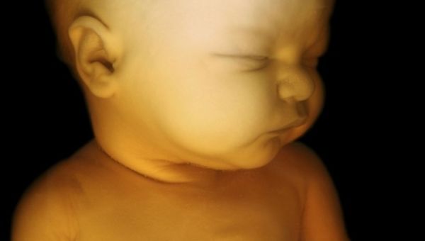 New Tennessee Abortion Ban Protects Babies Starting at Conception – LifeNews.com