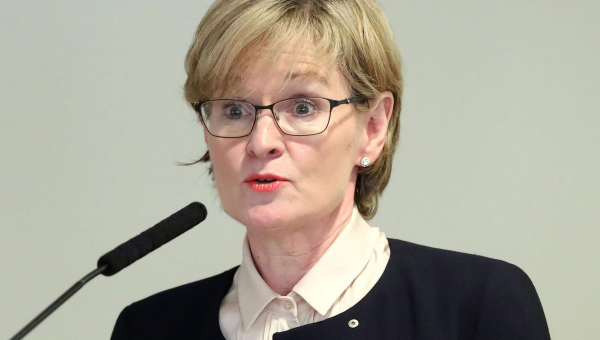 Attempt to stop Brexit checks at NI ports ‘breaches international law’