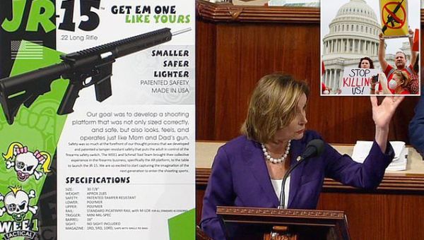 House PASSES assault weapons ban with five Dems voting against