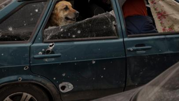 Live updates l Ukraine: 3 more tortured bodies seen in Bucha