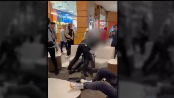 Police officers’ response to mall fight raises concerns