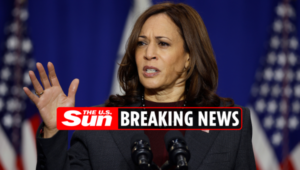 Kamala Harris tests positive for Covid only weeks after husband