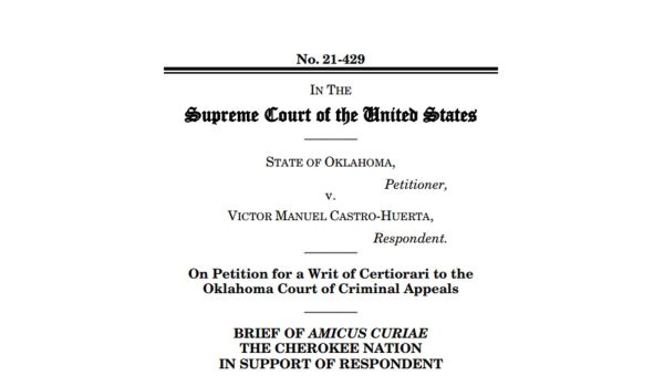 Native Americans in the United States Img