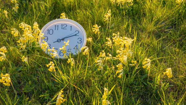 Daylight Saving Time: What to Know as Senate Approves Bill to Make It Permanent