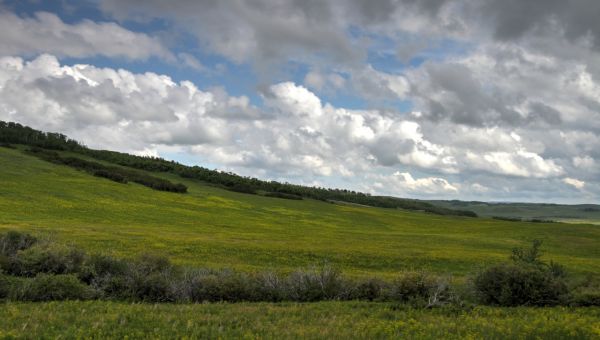 Man rams family with vehicle, then fatally shoots father, toddler, police say