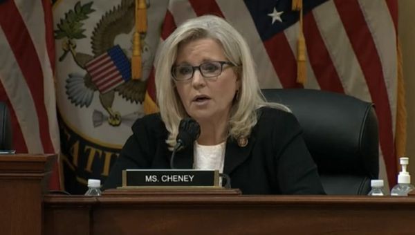 Liz Cheney Vows to Do ‘Whatever it Takes’ to Stop Donald Trump
