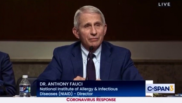 Dr. Fauci Claimed Yesterday that His Financials Were Available But These Claims “Just Aren’t True” – Conservative Angle