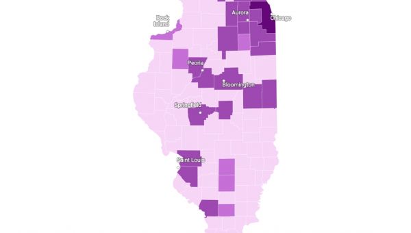 Nearly half of all Illinois abortion patients from Cook County