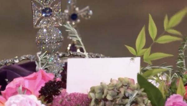 Spider spotted on top of Queen’s coffin during Westminster Abbey funeral