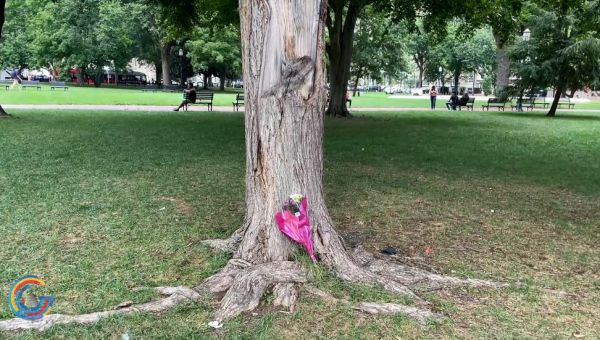 White House lightning strike takes lives of Wisconsin couple