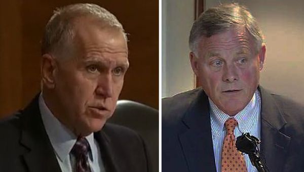 Bipartisan U.S. Senate deal on gun control met with praise from Biden, Democrats | The Pulse