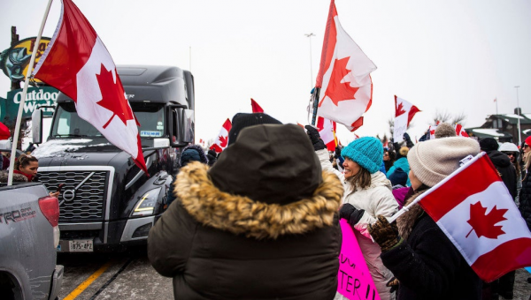 New Mexico rep to introduce bill offering asylum to Canadian truckers