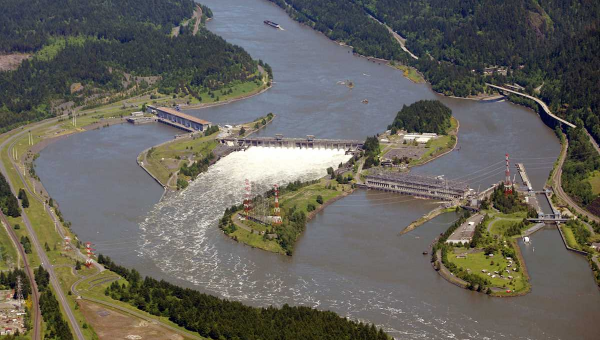 Contaminated island in Colombia River added to Superfund