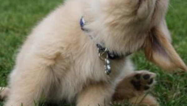 City of Boston spent taxpayer funds on the legal defense of a policy that 9 out of 9 Supreme Court justices found unconstitutional