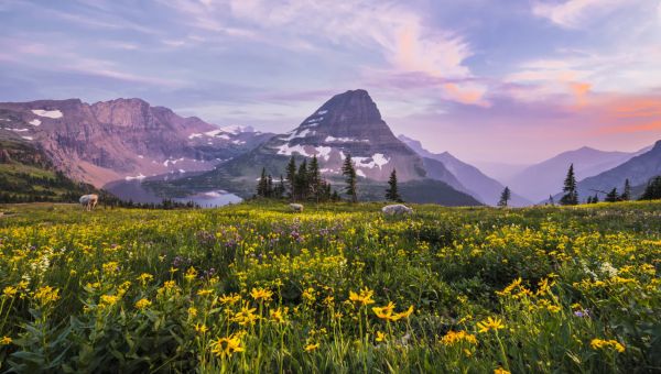 Man Drives Into Family, Shoots Dad and Toddler With Shotgun Before Being Killed by Baby’s Aunt