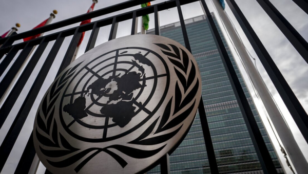 United Nations Security Council Img