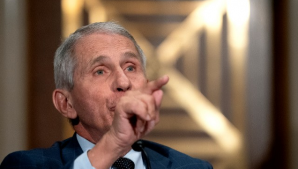 ‘What a Moron’: Fauci Name-Calls Sen. Marshall After Heated Hearing