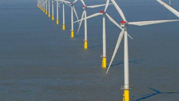 The Crown Estate sets out £12m marine research project