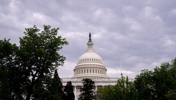 House votes to hold Dan Scavino and Peter Navarro in contempt