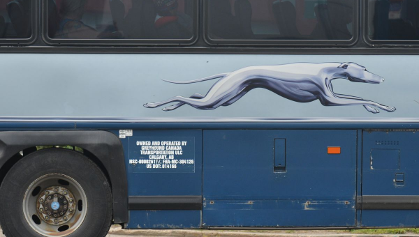 Naked man arrested after opening fire inside a Greyhound bus – Conservative Angle