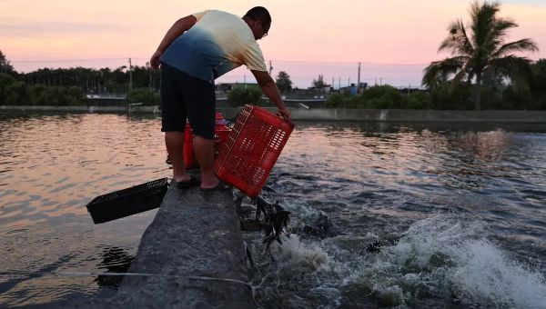Taiwan Fishing Community Casting For Fresh Markets After China Ban