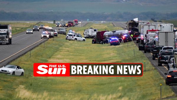 ‘At least five dead’ after 20 cars collide in massive interstate pile-up