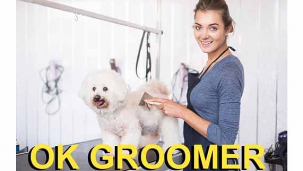 Disney CEO emails employees to address their pain, frustration, and sadness over Disney’s response to ‘Don’t Say Gay’ bill