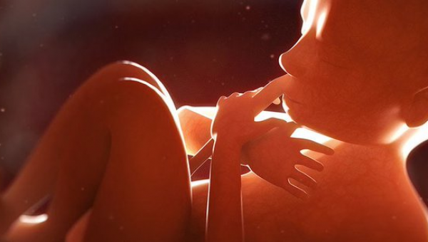 Florida Legislature Passes Bill to Ban Abortions After 15 Weeks, Saving 5,000 Babies From Abortion – LifeNews.com