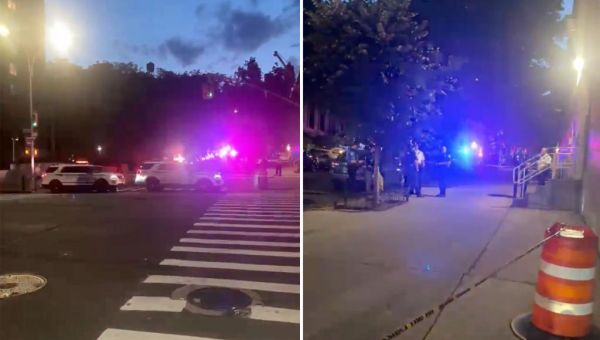 Cartridge (firearms) Img