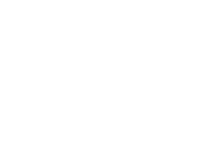 A white silhouette of a stylized bird in flight, with outstretched wings and a diagonal line crossing its body, on a transparent background.