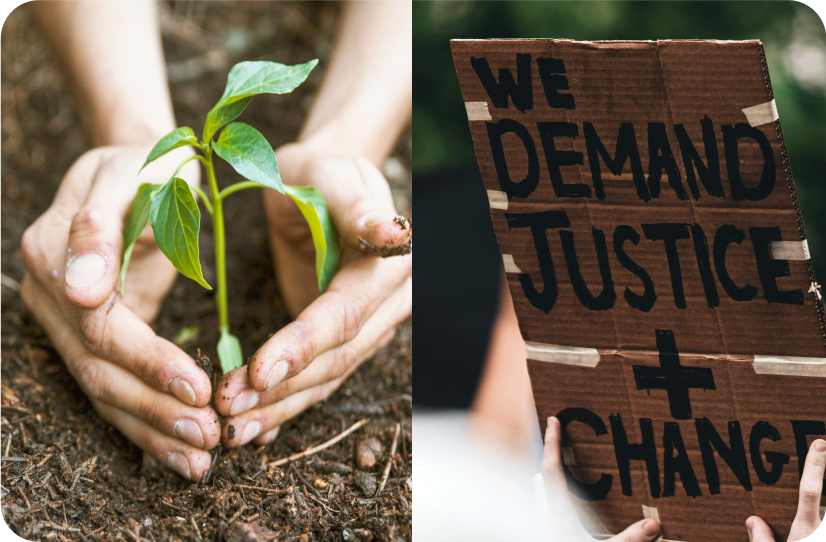 A person plants a small seedling in soil; next to it, a cardboard sign reads "We demand justice + change.