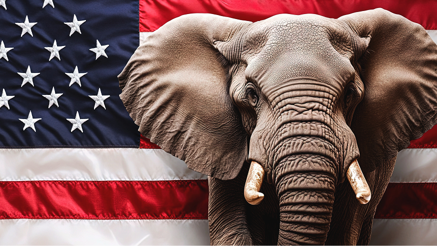 An elephant stands in front of a large American flag, facing the camera with its ears spread wide and its tusks visible.