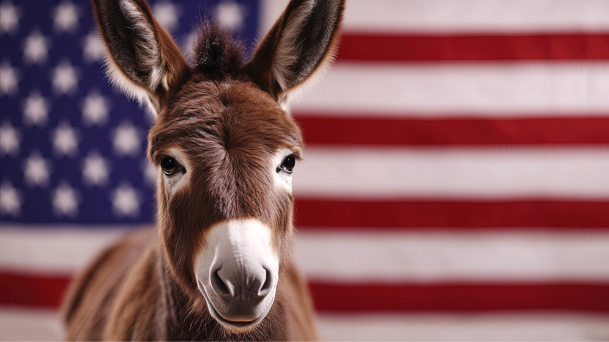 A donkey stands in front of a large American flag backdrop.